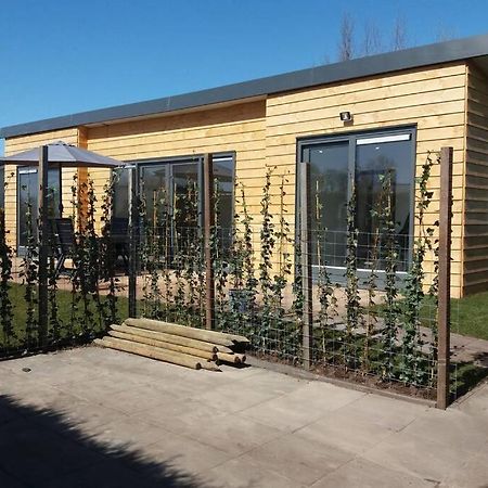 Luxe Vakantie Bungalow Met 3 Slaapkamers Dronrijp Exterior foto